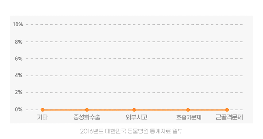 아우라 펫퍼먼스 상품