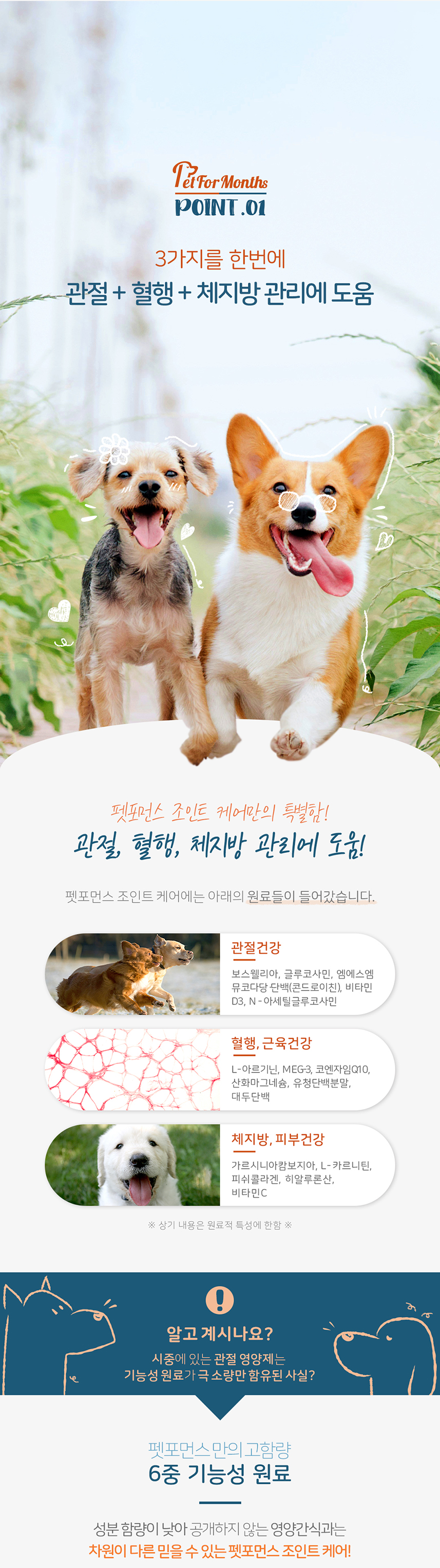 아우라 펫퍼먼스 상품